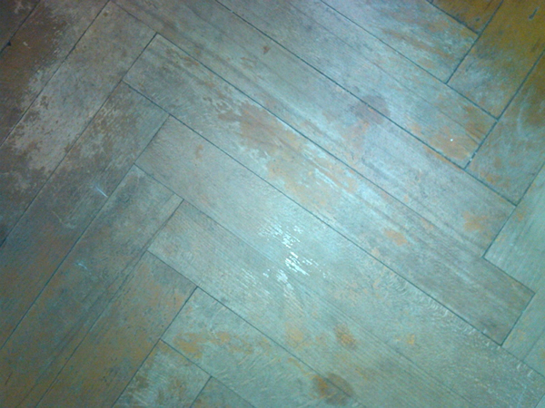 рассохшийся паркет из бука