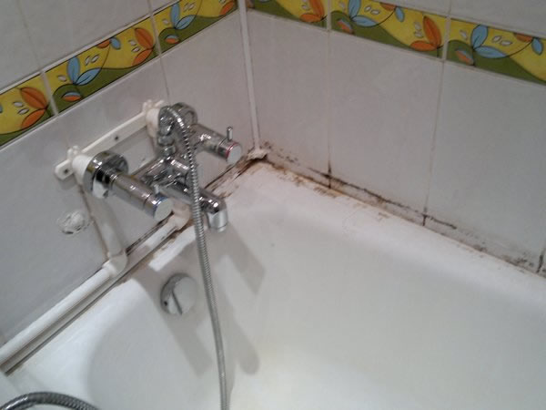 Фото про плесень в ванной комнате