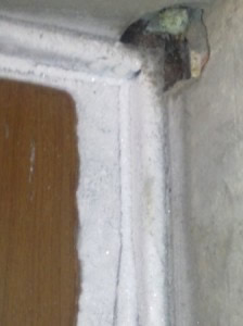 Запущенный случай промерзания входной двери. 